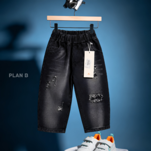 plan b (66)