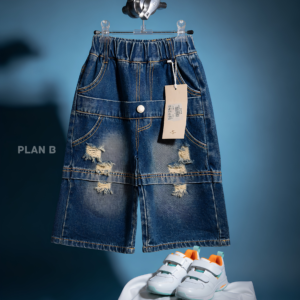 plan b (70)